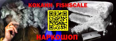 крисы Новозыбков