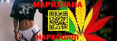 крисы Новозыбков