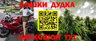 соль ск Новодвинск