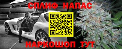 соль ск Новодвинск