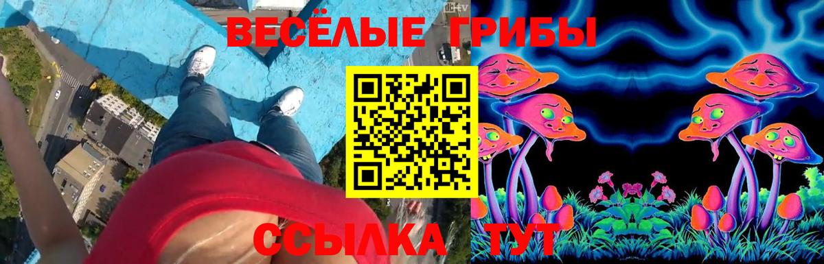 Галлюциногенные грибы Cubensis  Вход с VPN  Псилоцибиновые грибы Cubensis  Трёхгорный 